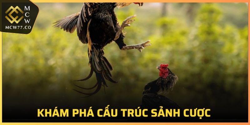 Các quy tắc trong sảnh thi đấu được xây dựng tỉ mỉ